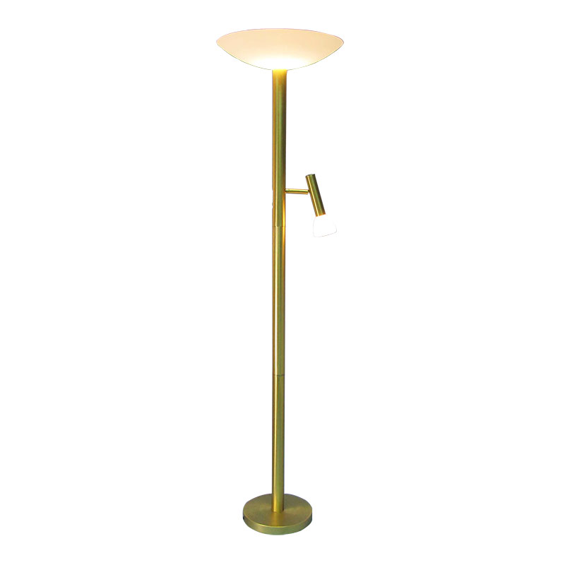 Floor Lamp 21506A